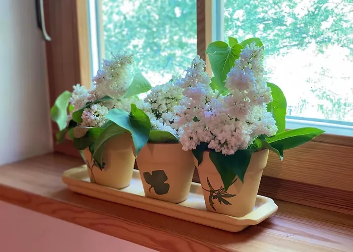 Koronkowa Дом отдыха *